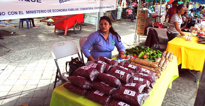 Los municipios de Jinotega y Nueva Segovia visitan Granada en Amor a Nicaragua, Orgullo de mi Municipio