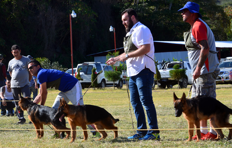 Exitoso campeonato de crianza de perros y exposición canina en Jinotega