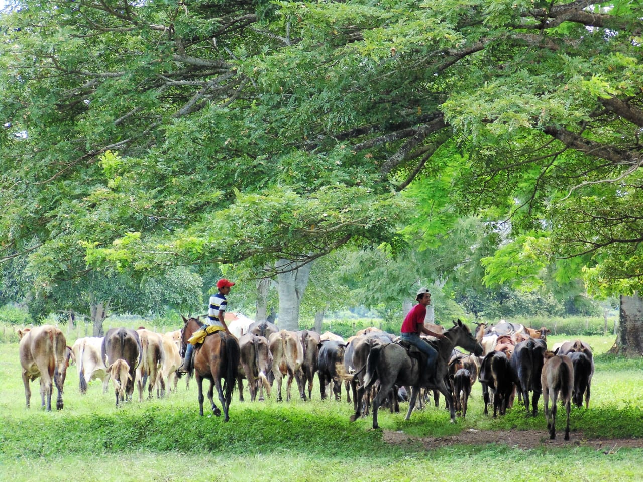 Ruta de las Haciendas