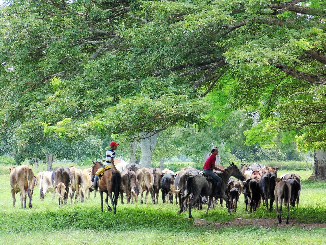 Ruta de las Haciendas