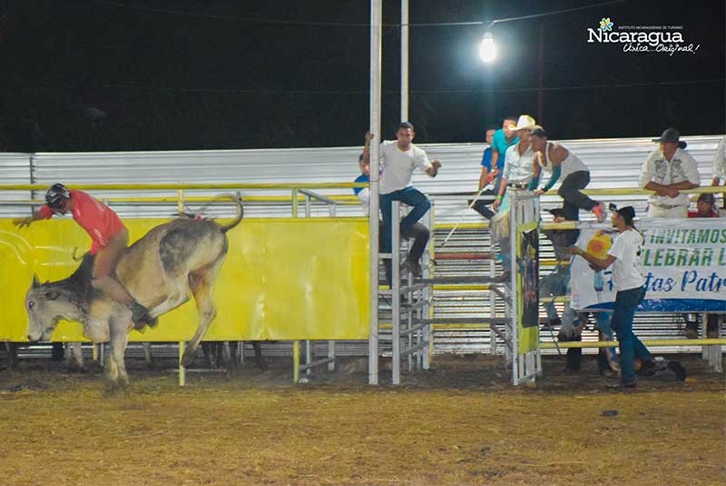 jalapa_Feria_del_Maiz-toros