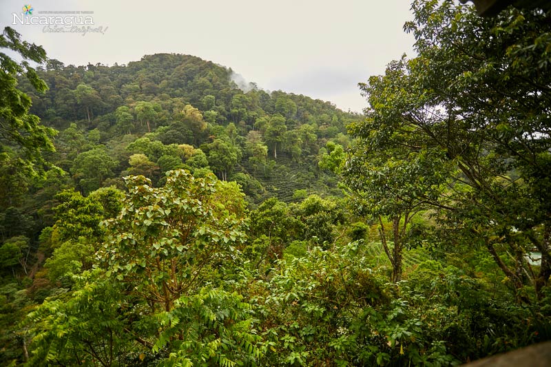 La-Bastilla-Jinotega