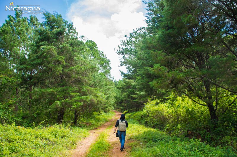 Pinares-de-San-Ramón,-Matagalpa