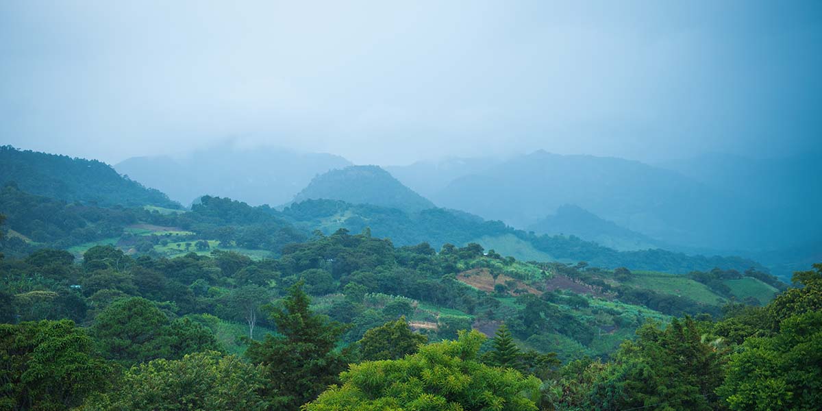 Nicaragua... Fascinante, Irresistible en Washington