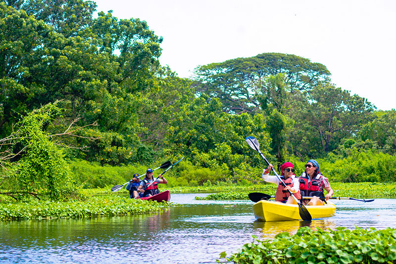 Kayak-en-Isla-de-Ometepe